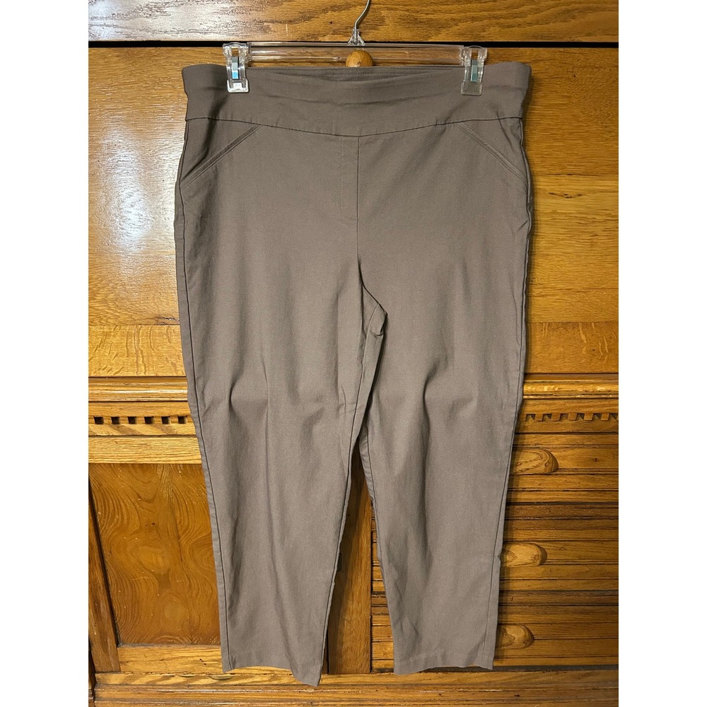 Alfred Dunner Quiet Luxury Elevated Taupe Pull On Stretch Straight Leg Pants